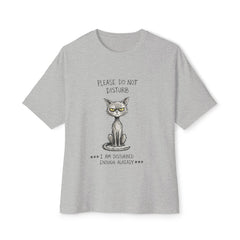 Please Do Not Disturb Cat Tee — 'I Am Disturbed Enough Already' Oversized Boxy T‑Shirt