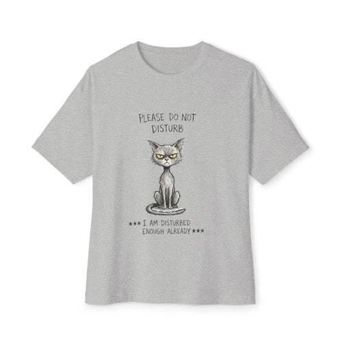 Please Do Not Disturb Cat Tee — 'I Am Disturbed Enough Already' Oversized Boxy T‑Shirt