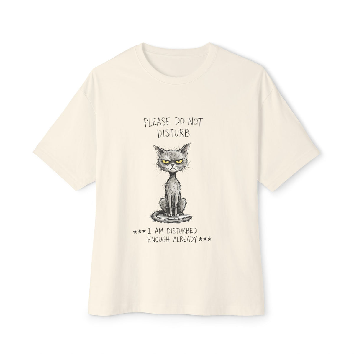 Please Do Not Disturb Cat Tee — 'I Am Disturbed Enough Already' Oversized Boxy T‑Shirt